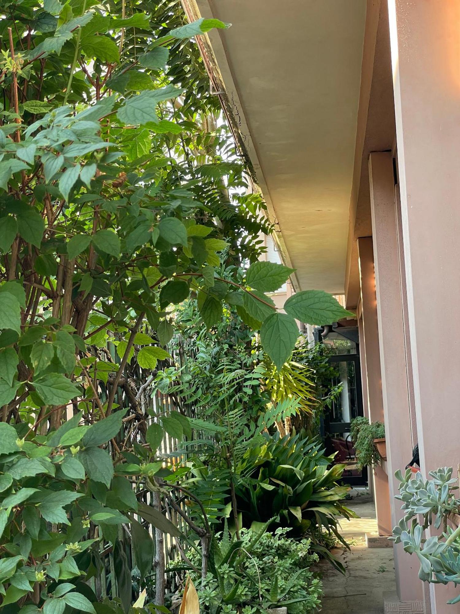 Hotel Berlino Cattolica Ngoại thất bức ảnh